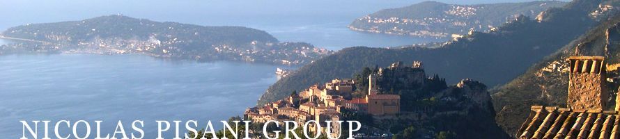Nicolas Pisani Group